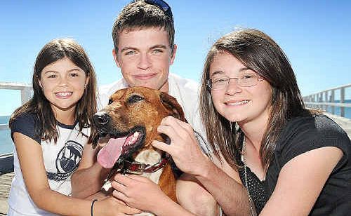 After eight months in the wild Brandi is reunited at Urangan pier with her family Shanelle, 11, Clancy, 16, and Savahna Adams, 13, from Gympie. After eight months in the wild Brandi is reunited at Urangan pier with her family Shanelle, 11, Clancy, 16, and Savahna Adams, 13, from Gympie.